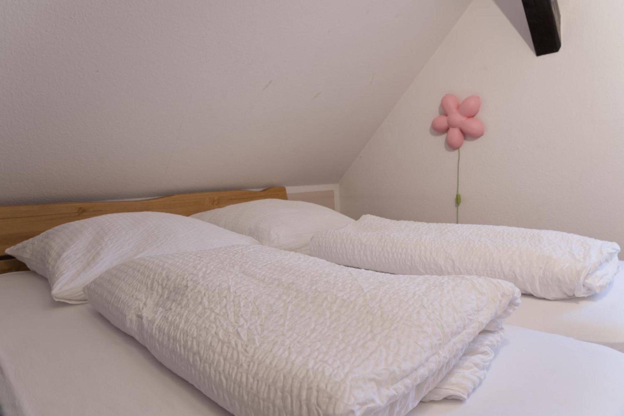 Gruppen- Und Seminarhaus Schicht Im Schacht Villa Elbingerode  Kültér fotó